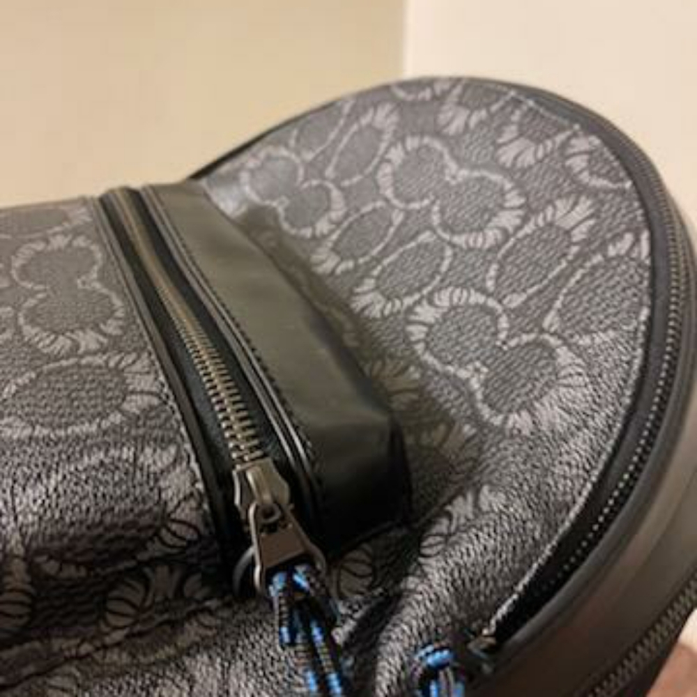 Coach Backpack - Picture 2 of 8